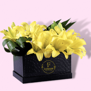 Box of Sunny Yellow Asiatic Lilies